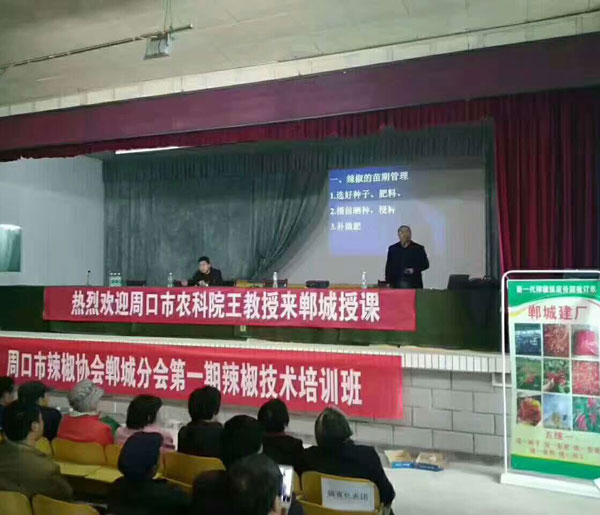 周口市辣椒协会郸城分会