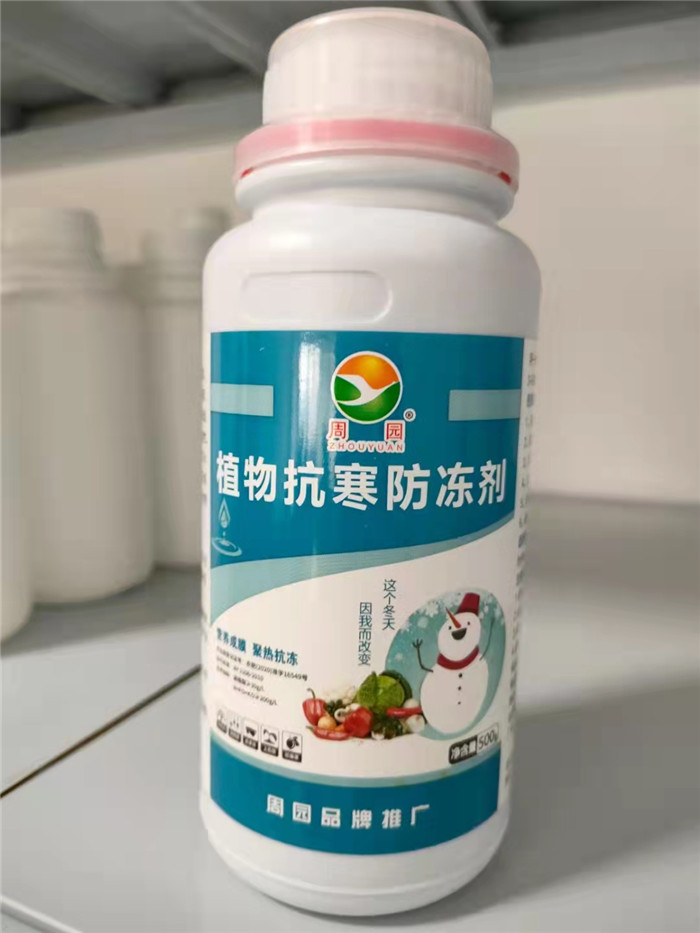 冬储优惠活动开始了...